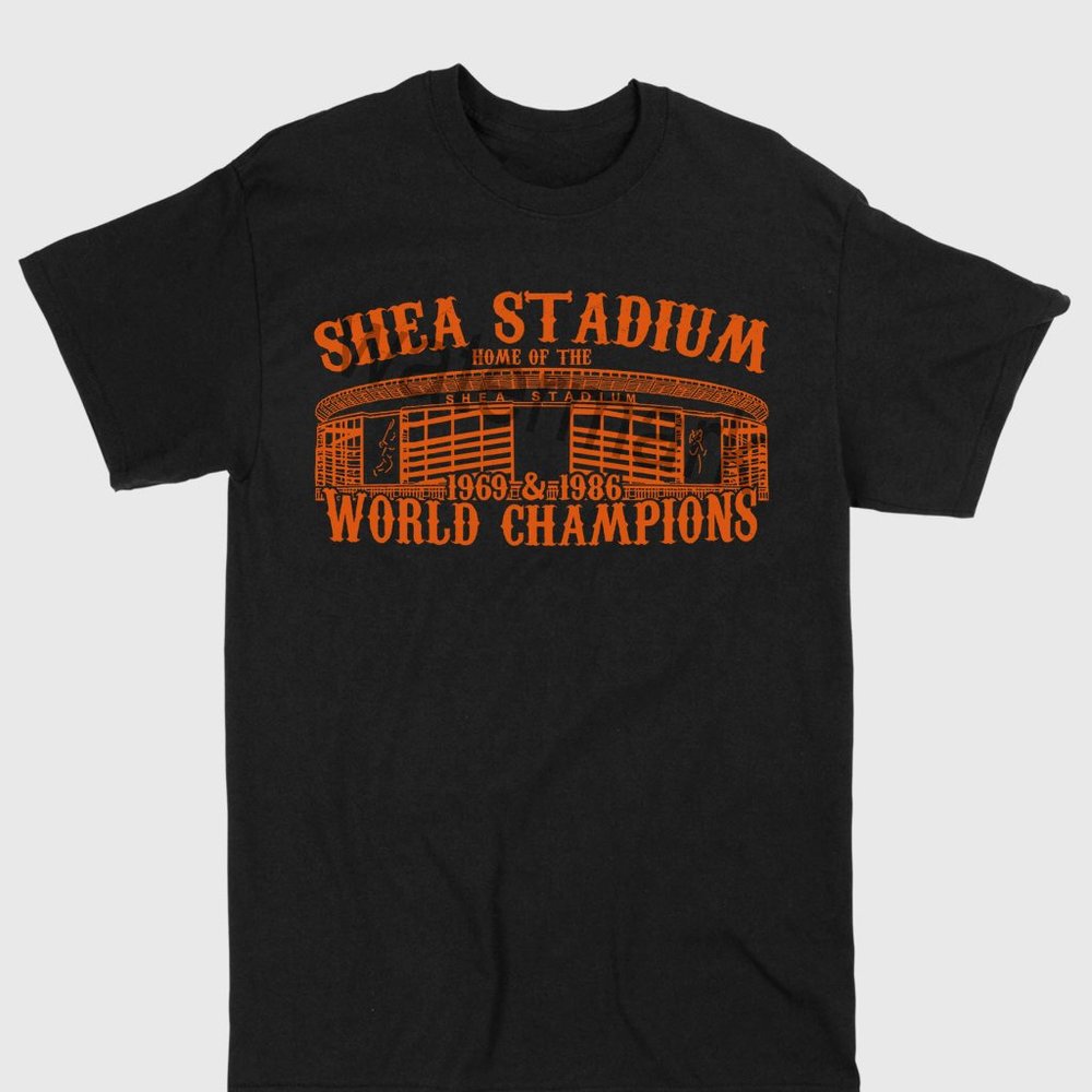Shea Stadium Shirt Mike piazza Father’s Day gift, Christmas gift baseball gift